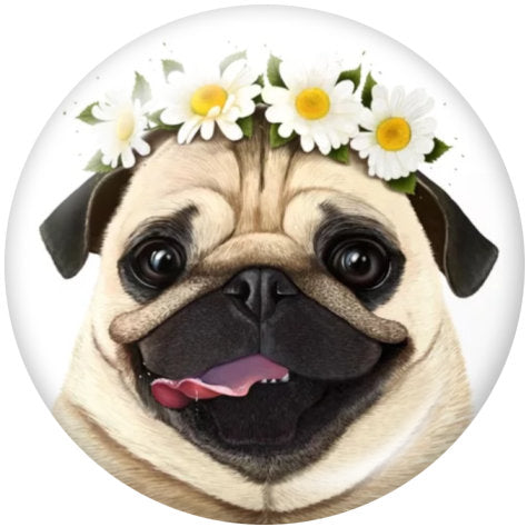 Colorful Pug Dog with Floral Crown of Daisies Print 20MM Glass Snap
