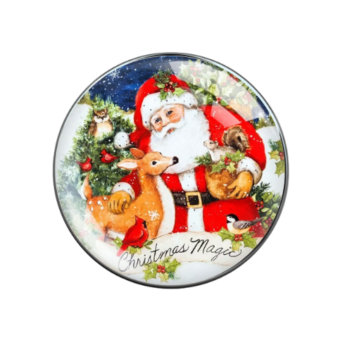 Christmas Magic Santa with Wild Animals Print Glass Snap Jewelry Charm 20MM