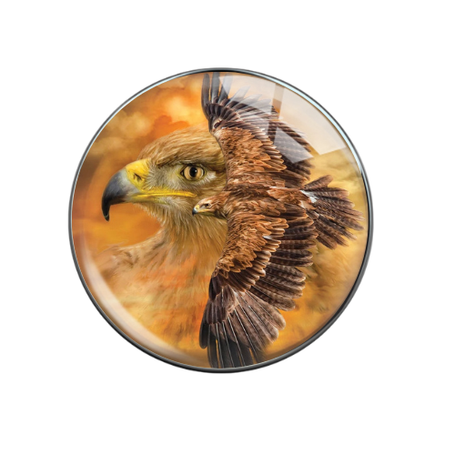 Hawk Print Glass Snap Jewelry Charm 20MM (Copy)