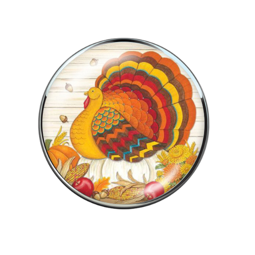Colorful Cartoon Thanksgiving Turkey Print 20MM Glass Snap Jewelry Charm
