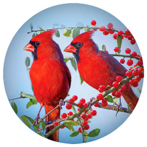 20MM Painted Ceramic Cardinal Pair Snap - Snap