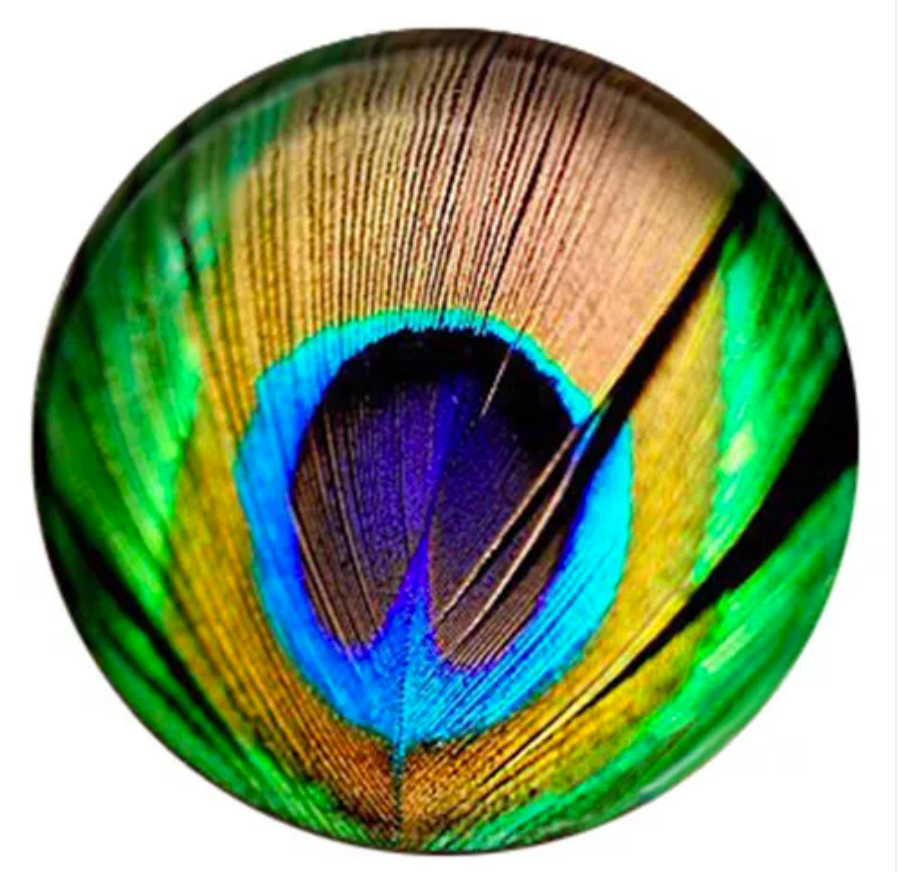 20MM Peacock Feather Painted Ceramic Snap - Snap