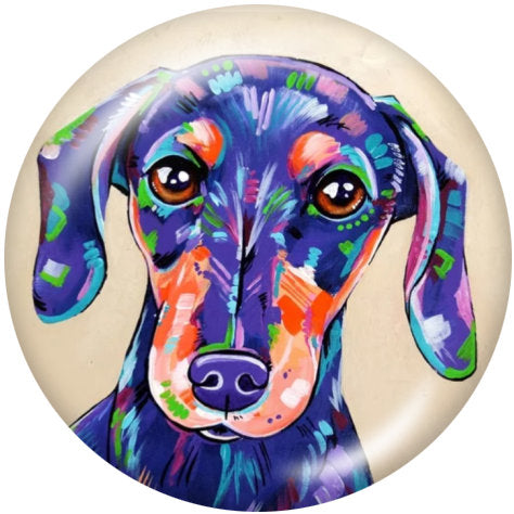 Colorful Floral Dachsund Dog Print 20MM Glass Snap