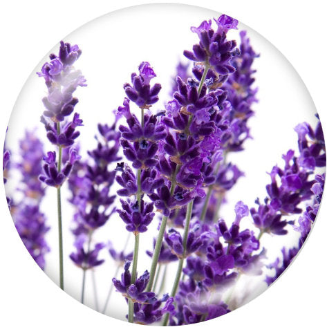 Lavender Flowers 20MM Glass Snap - Snap